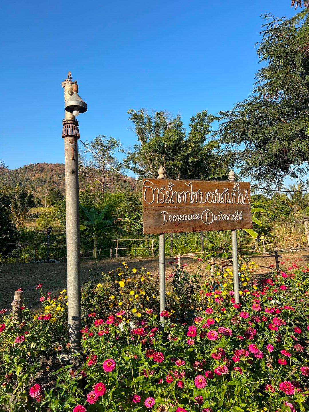 ธารน้ำตกไซเบอร์ แค้มปิ้ง