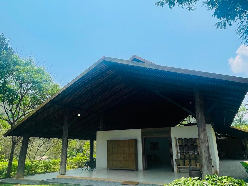 Araksa Tea Garden