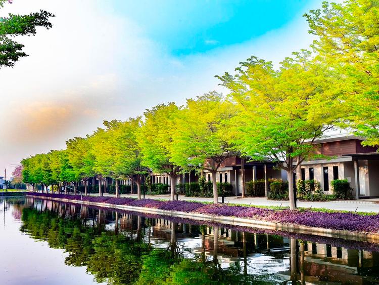 Tree Villa Hotel ลาดหลุมแก้ว