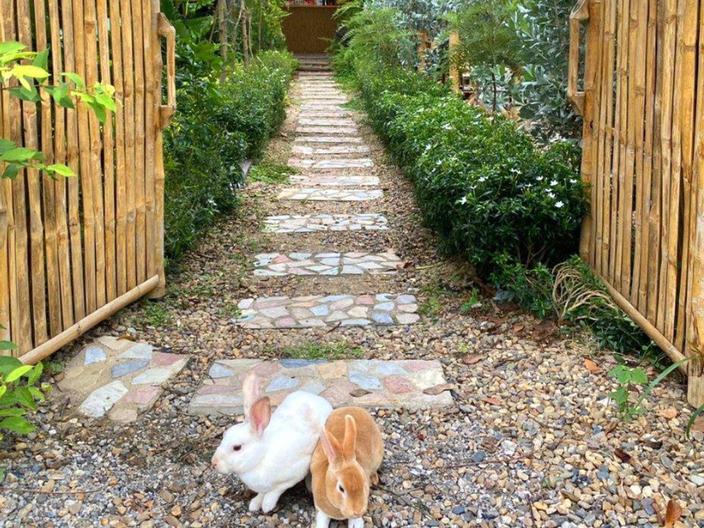IAMBUNNY CAFE' กาญจนบุรี