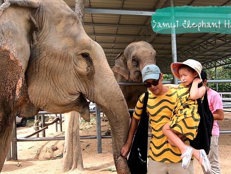 Samui Elephant Haven