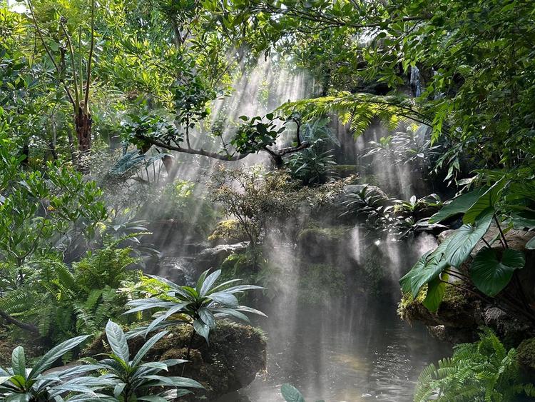 แพลนท์เนอรี กรีน คาเฟ่
