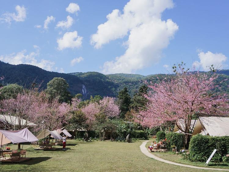 The Garden Tent Doi Inthanon