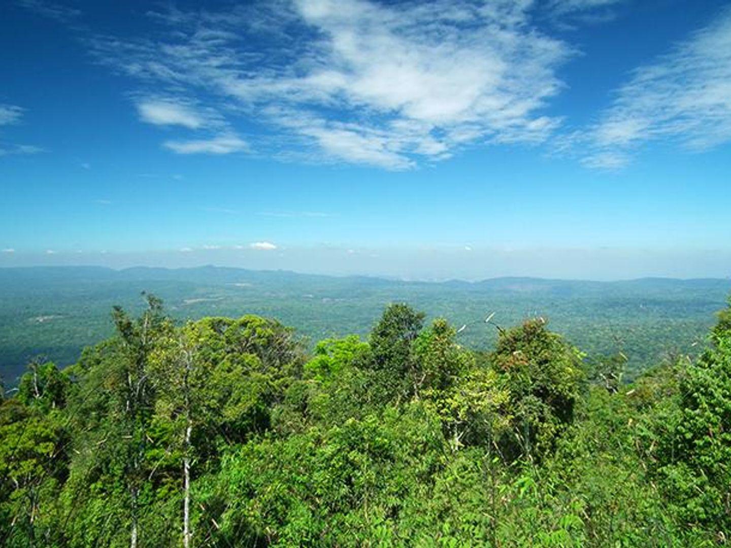 ผาตรอมใจ