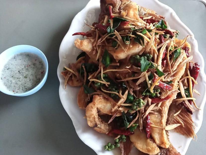 ร้านอาหารโชกุน​ อาหารป่า​ ปลาแม่น้ำ