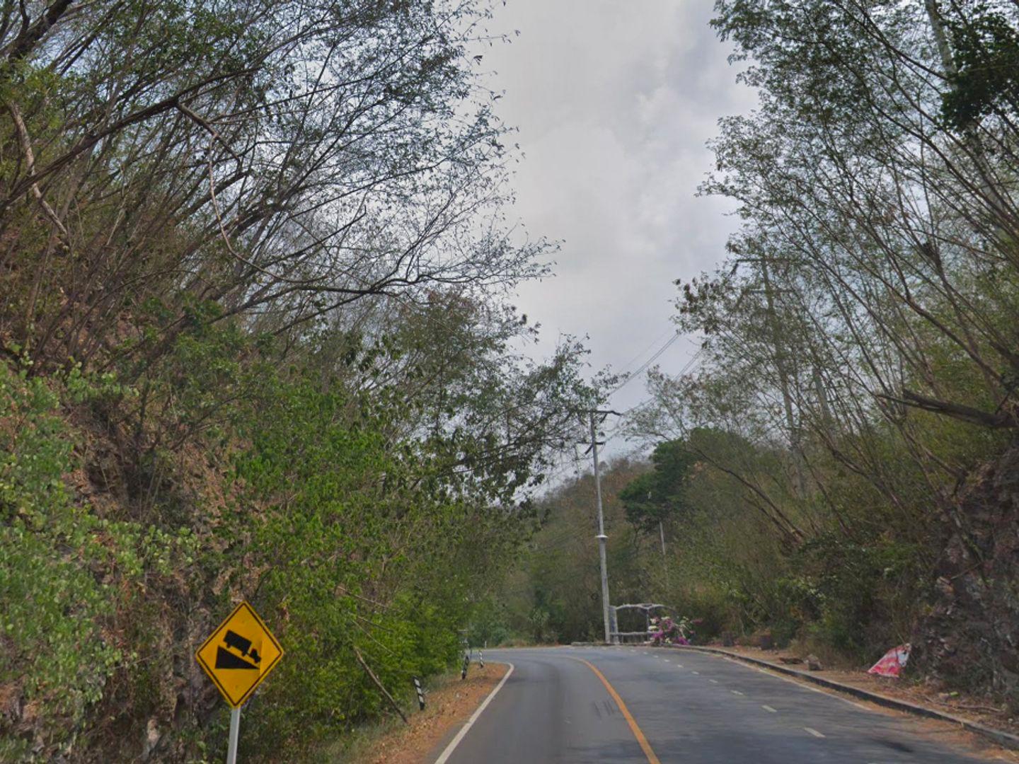 อุโมงค์ต้นไม้ แสลงพัน