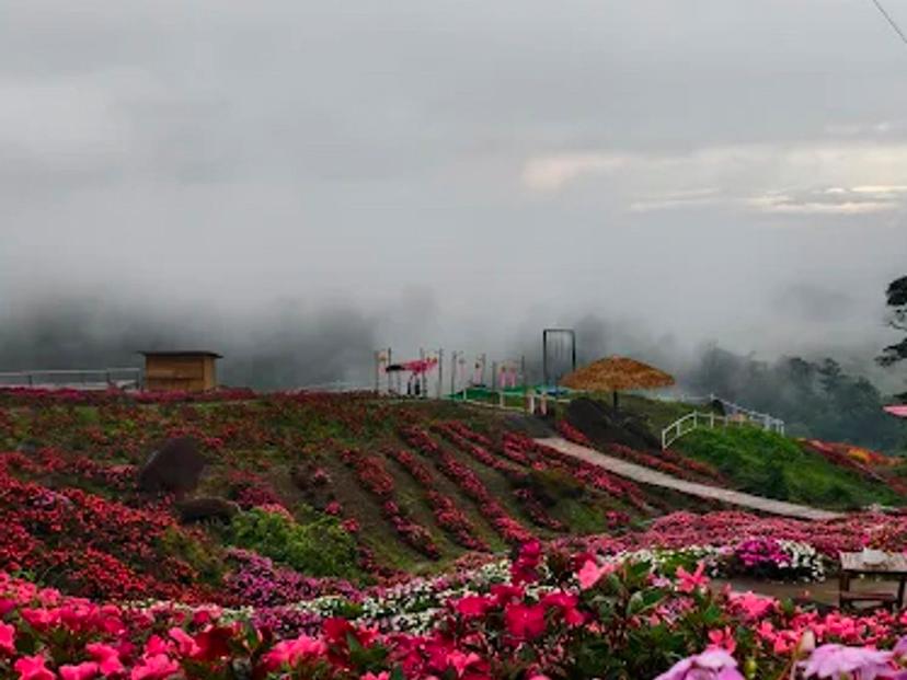 Monchane Phu Thap Boek Flower Garden