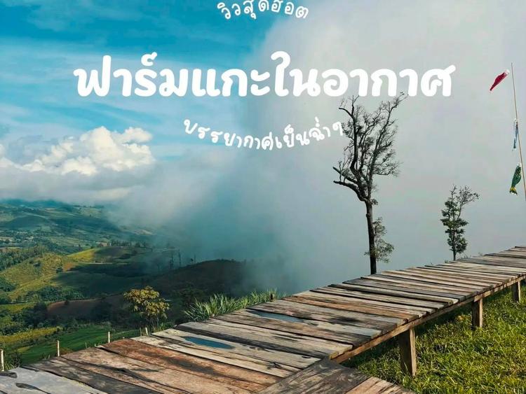 ฟาร์มแกะในอากาศ