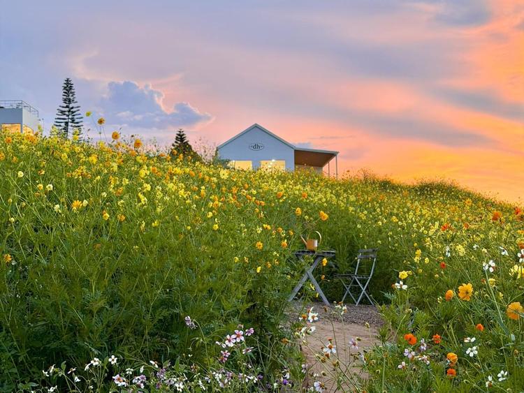 ดง เฮ้าส์ เขาใหญ่