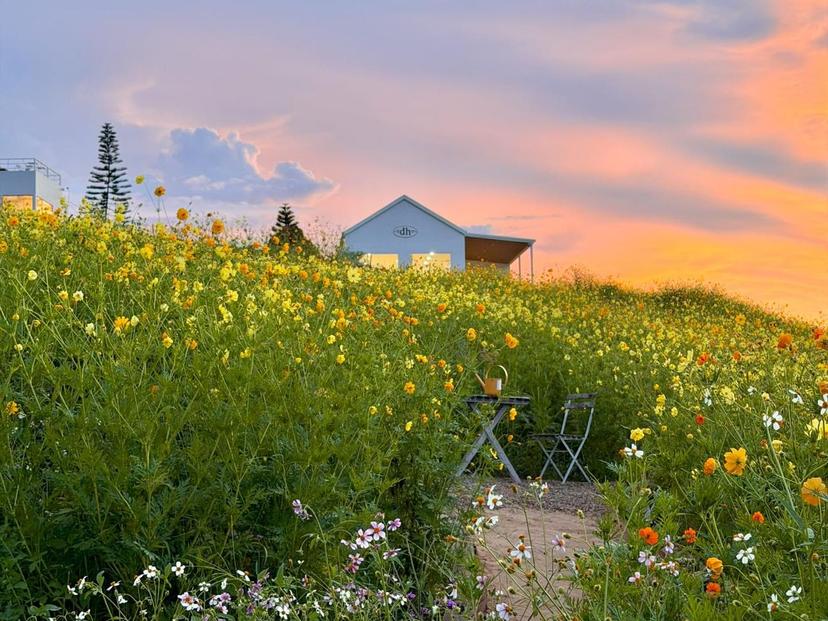 ดง เฮ้าส์ เขาใหญ่