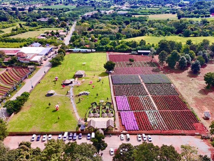 เกาะแกะ เขาใหญ่