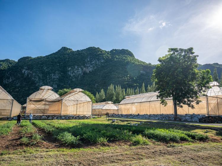 Sweet & Green Farm Khao Yai