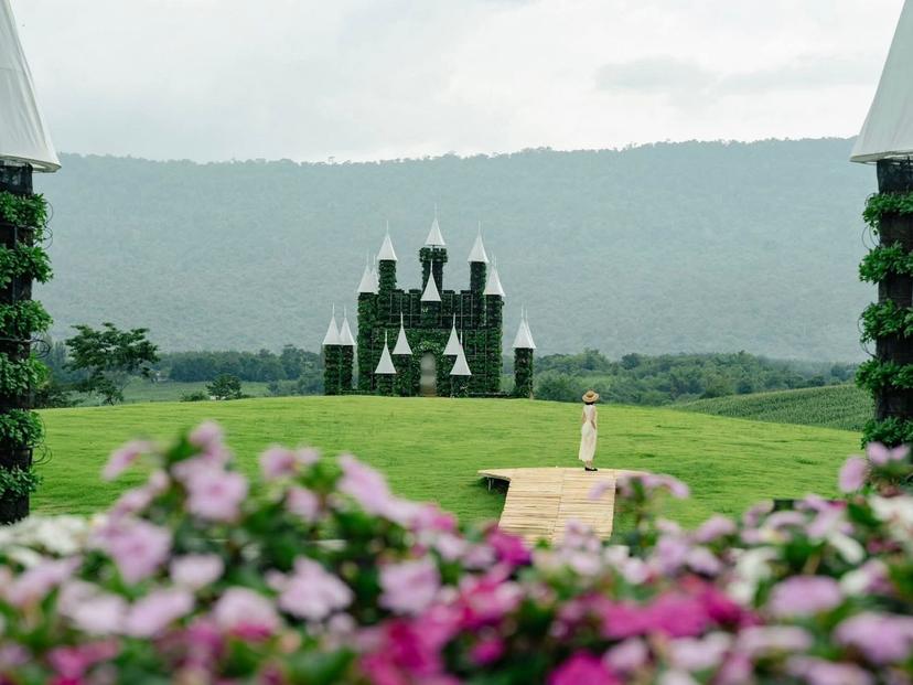 เค มง อัลปาก้า เขาใหญ่