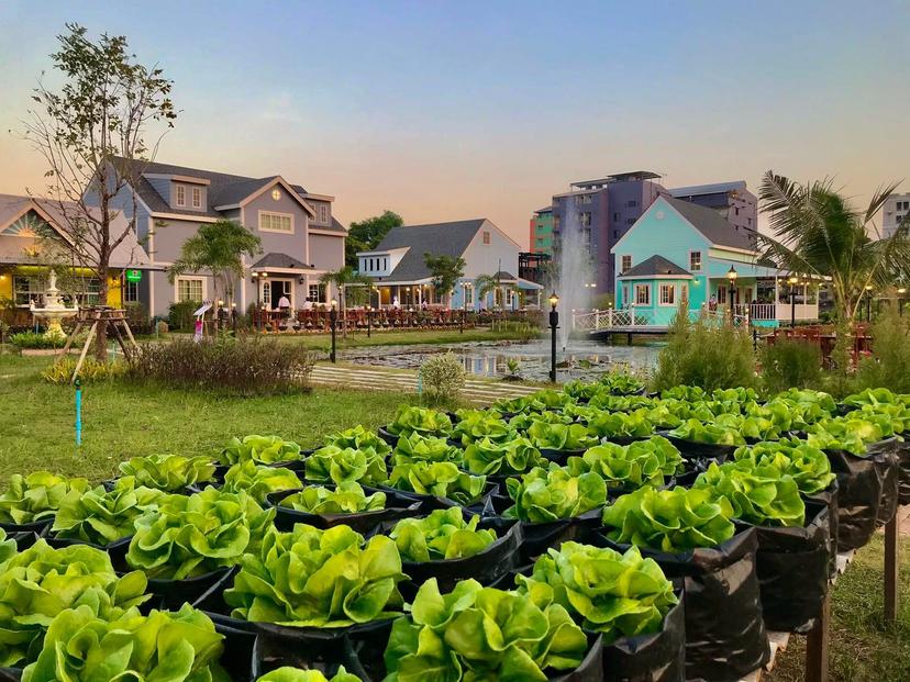 ร้านอาหาร บ้านเกาะยอ บางปู