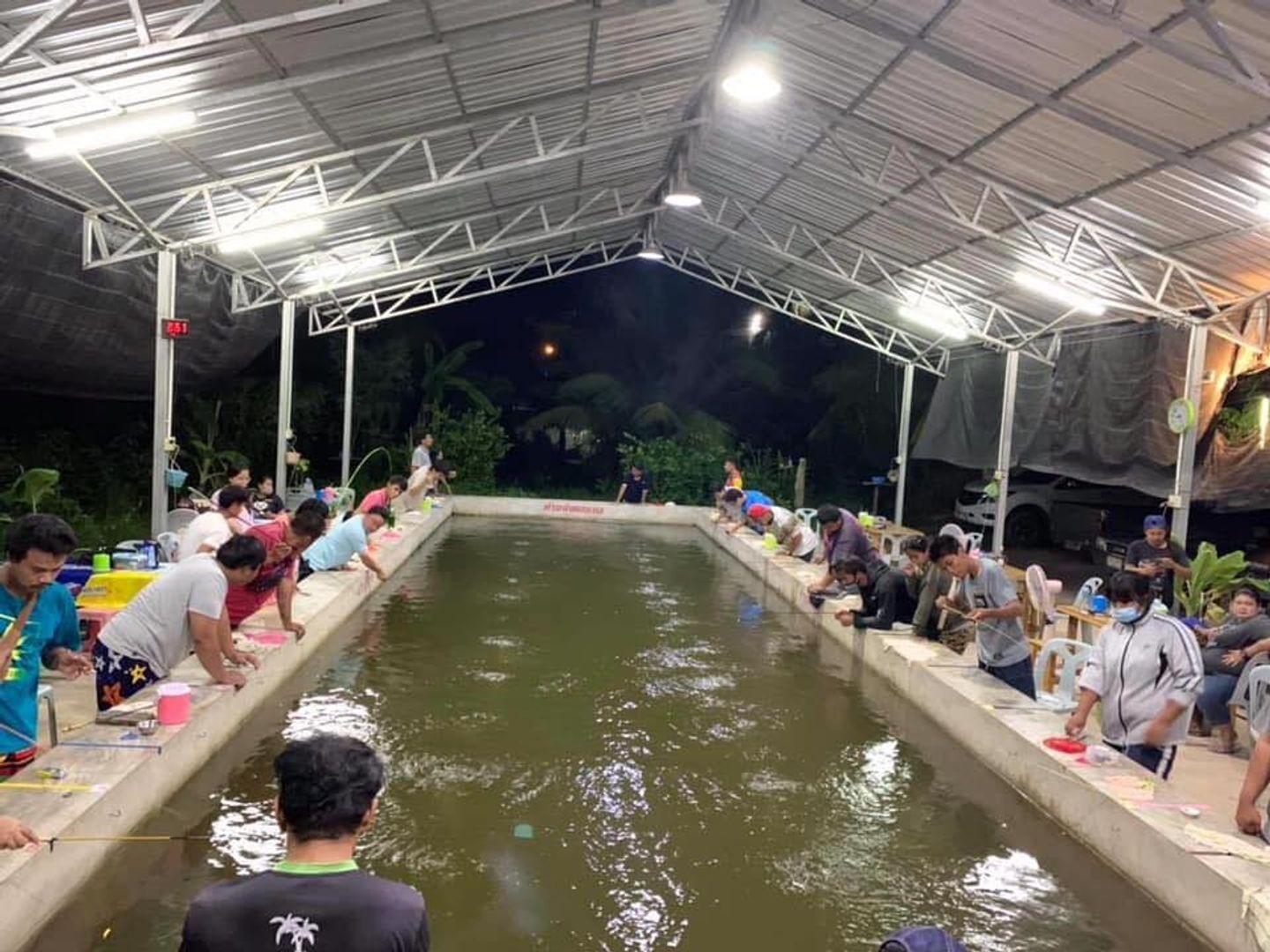 บ่อตกกุ้งไอซ์กะโอ๊ต บ้านสวนอัมพวา