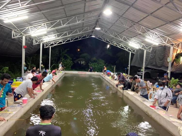 บ่อตกกุ้งไอซ์กะโอ๊ต บ้านสวนอัมพวา