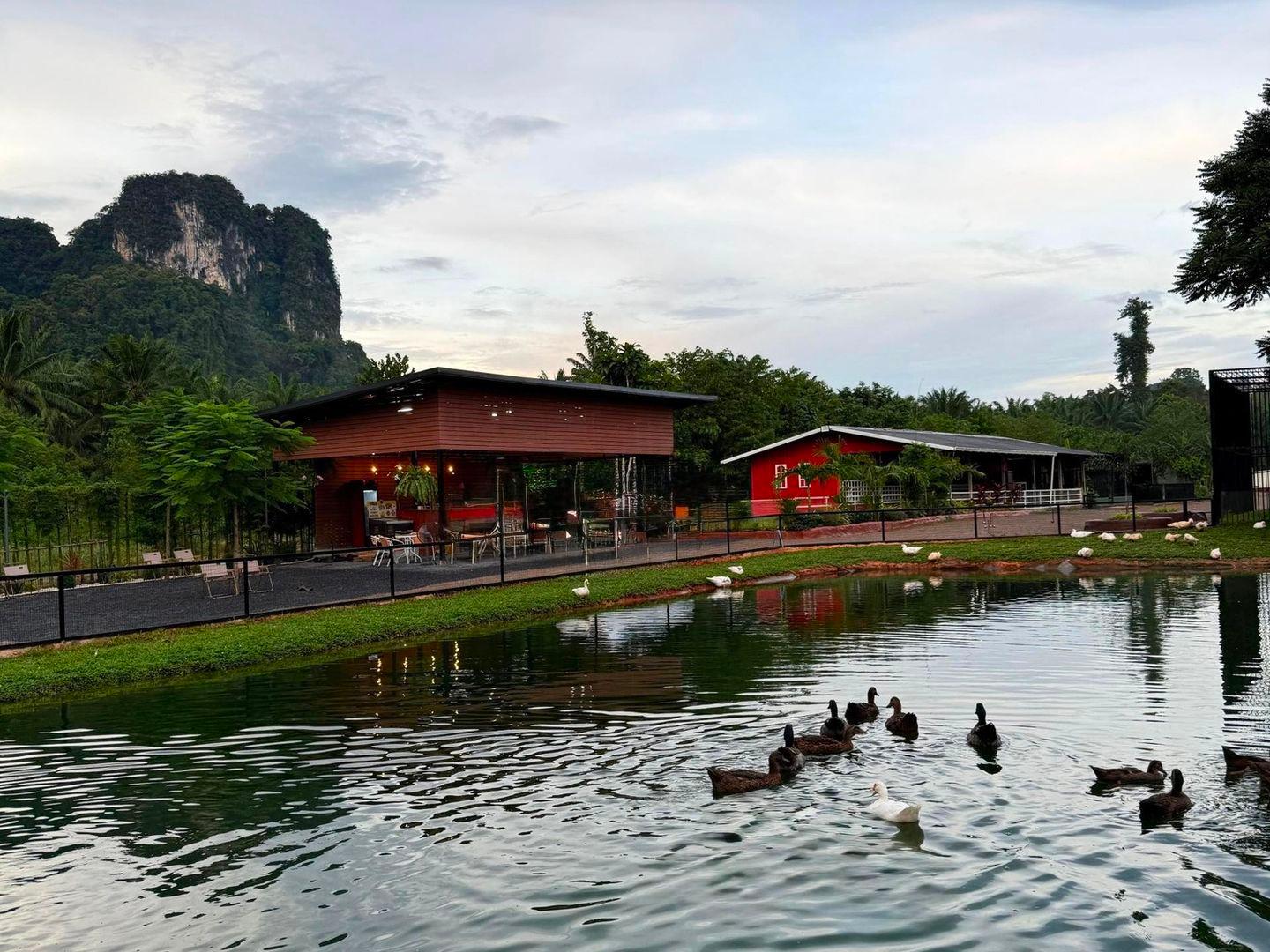 LAND PARK FARM Playtime with animals friends