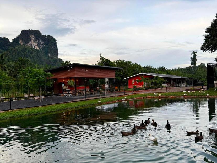 LAND PARK FARM Playtime with animals friends