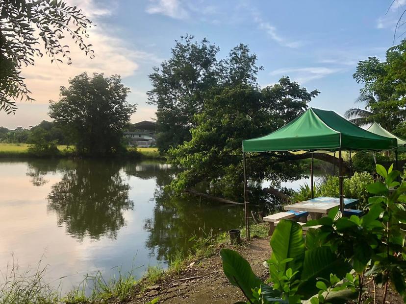 Torsak Wild Food Restaurant