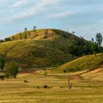 ภูเขาหญ้า