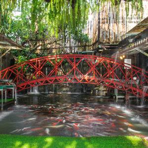 Carp Cafe’