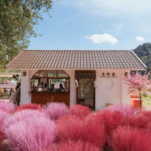Hokkaido Flower Park Khaoyai