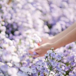 Flower Lovers CNX