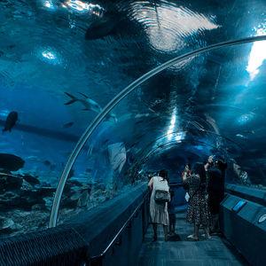 Under Water World Pattaya
