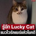 เวโรจน์ ธีรอัครัช